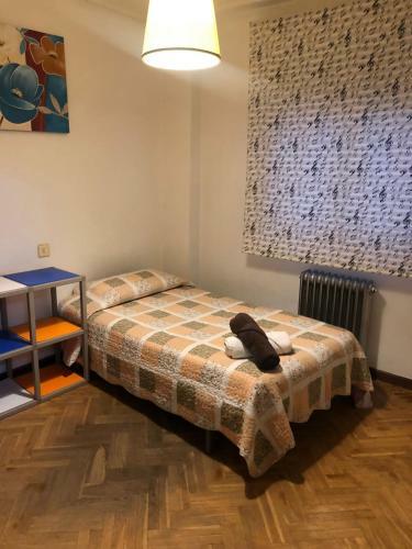 Apartamento Aparcamiento Privado Gratis Parque Jesuitas Y Centro,