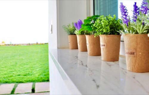 Apartamento Red Cozy Brand New Stay