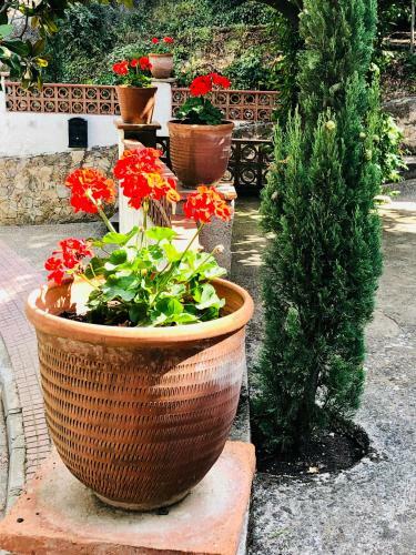 Apartamento Mas Blanc