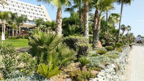 Fantastic 1 Bed Apartment Opposite 4 Seasons Limassol