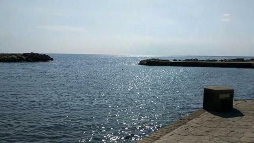Fantastic 1 Bed Apartment Opposite 4 Seasons Limassol