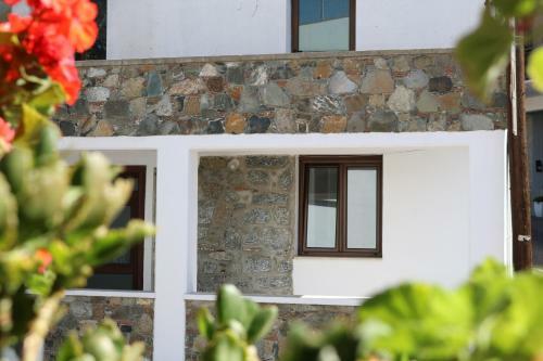 Tsangaris House In Action