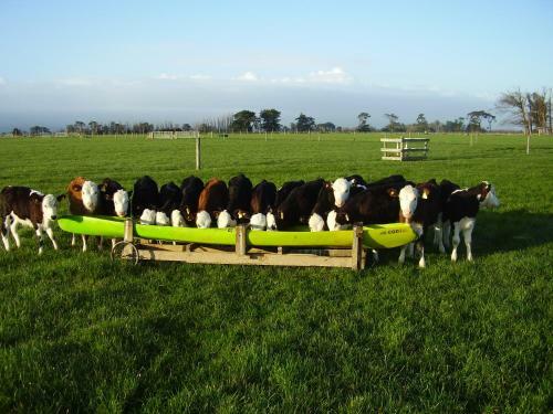 Penhaven Farm Stay