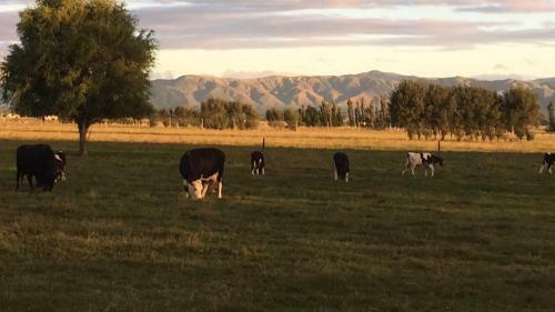 Penhaven Farm Stay
