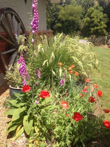 Penhaven Farm Stay