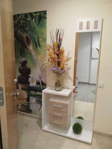 Apartamento San Carlos de La R�pita