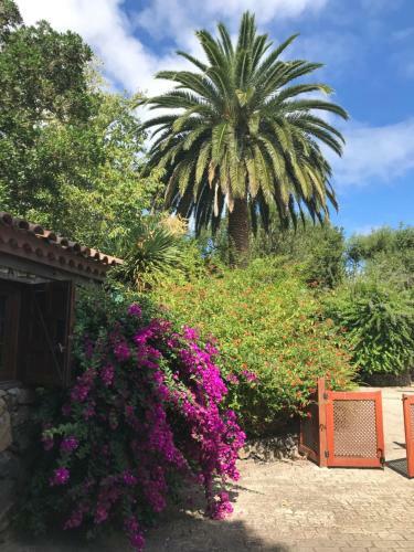 Apartamento Finca Casa Jard�n