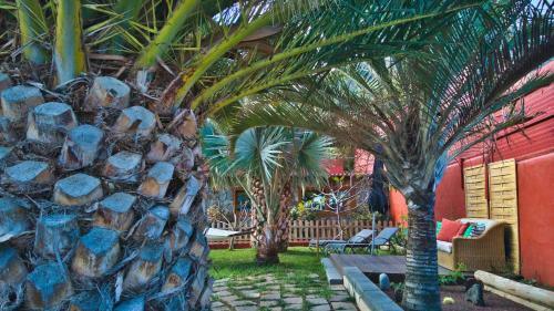 Apartamento Papaya Cottage Punta Del Hidalgo