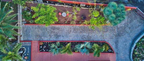 Apartamento Papaya Cottage Punta Del Hidalgo