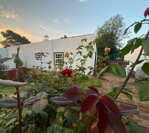 Finca La Estufa