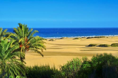 Maspalomas , Yumbo Bungalow