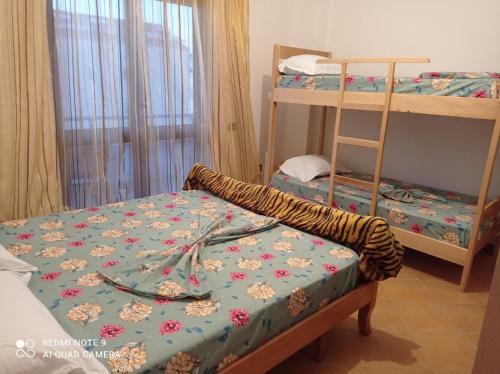 Parids Apartment
