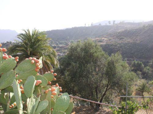 Lodge La Casita