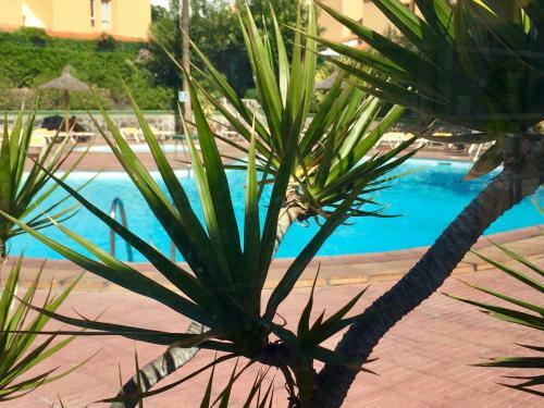 Vicksol Holiday