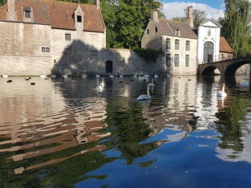 B&B Marie-j Of Bruges