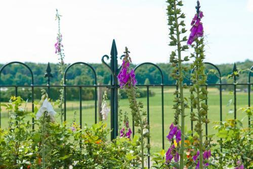 Bed & Breakfast Gastenverblijf De Korenhorst