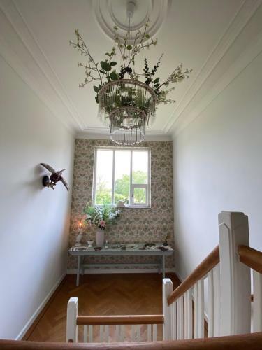 Bed & Breakfast Gastenverblijf De Korenhorst