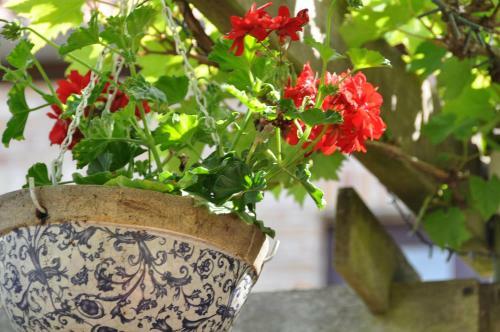 B&B Bella En Basiel