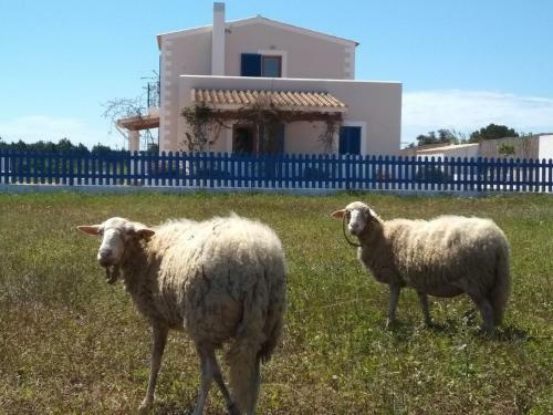 Casa Rural Ideal Para Parejas - Formentera