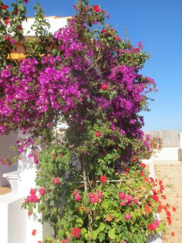 Casa Rural Ideal Para Parejas - Formentera