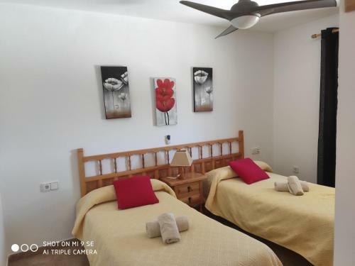 Mar I Montanya Formentera 2