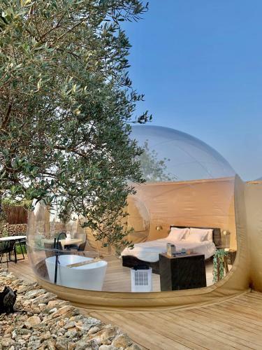 Agroturismo Noches de Calig