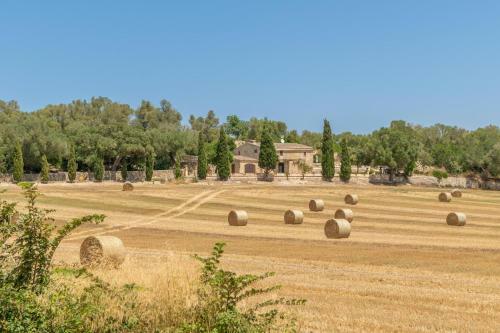 Villa Ses Cases Velles de Son Bar�