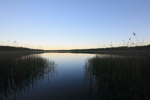 Excellent Log House With A Sauna In Lahemaa!