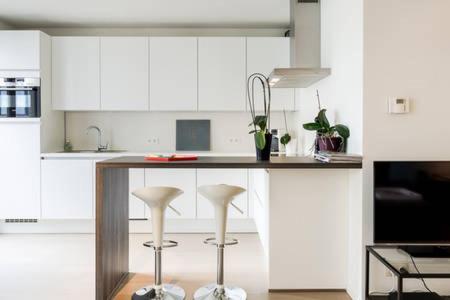 New Design Apartment In Brussels