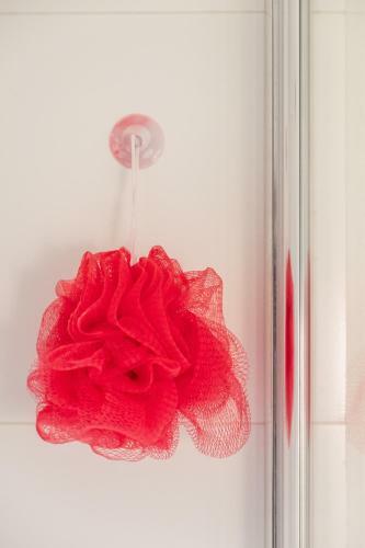 Apartamento Felix Delhasse