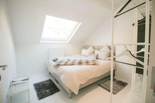 Luxury Apartment