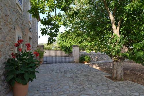 Finca R�stica Son Barbot