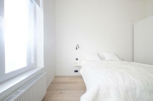 Hostal The Nest