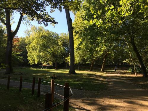 Bed & Breakfast 50's Studio Parc Marie-jos�e