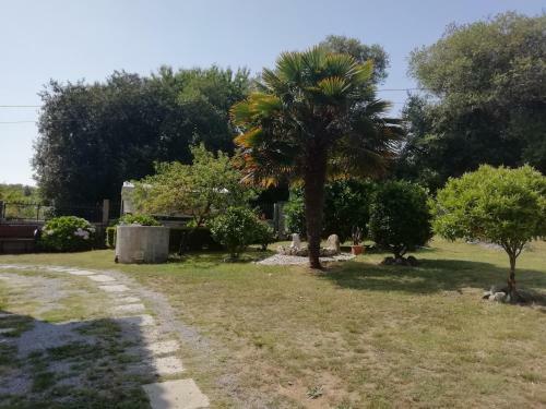 Apartamento Casa Sara