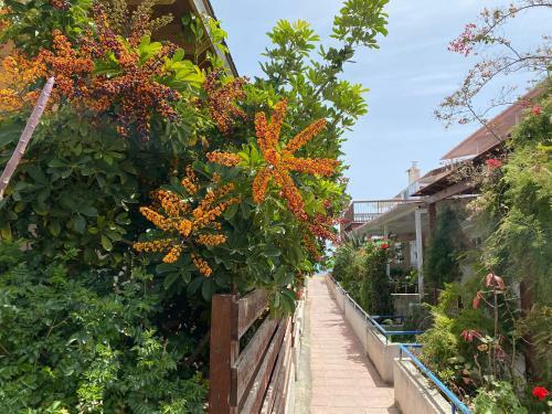 Spiros Seaside Holiday Home