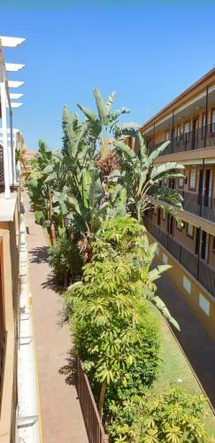 Apartamento A 10 Metros de La Playa Con Piscina