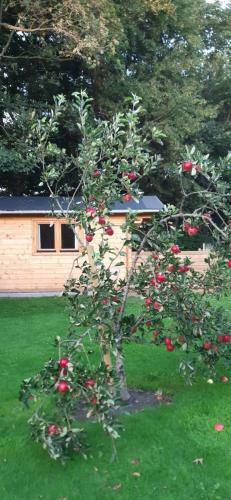 Hostal Agnes Bed And Breakfast