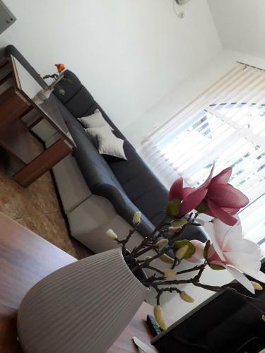 Apartman Samardzic