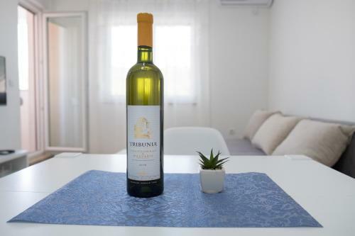 Apartmani Tribunija