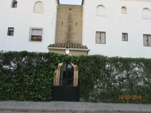 Apartamento Calle Yerbabuena 5