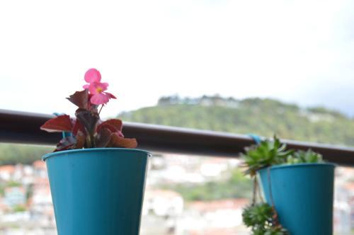 Apartman Biser