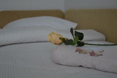 Apartman Biser