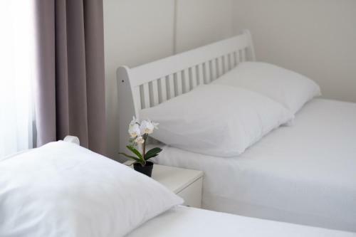 Apartmani Vila Kosa