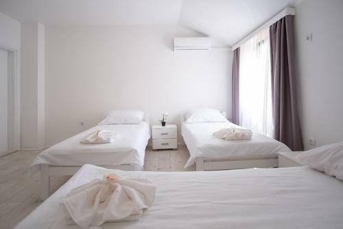 Apartmani Vila Kosa