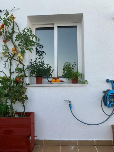 Apartamento Atico La Ilusion Con Parking