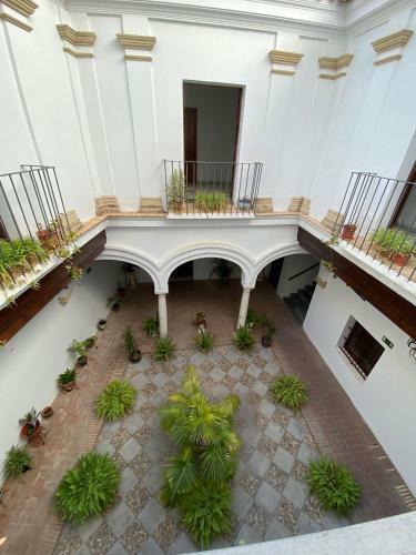 Apartamento Las Palomas 15