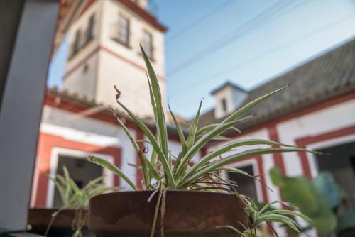 Casa Palacio San Agust�n Apartamento 10