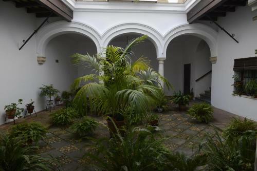 Apartamento Casa Palacio Las Palomas