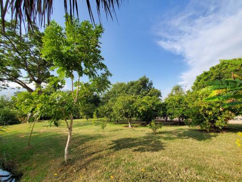 Hotel Los Laureles